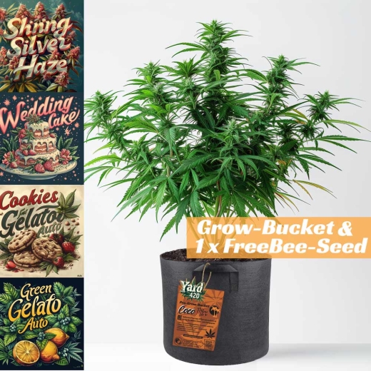 Grow Stofftopf Coco Mix